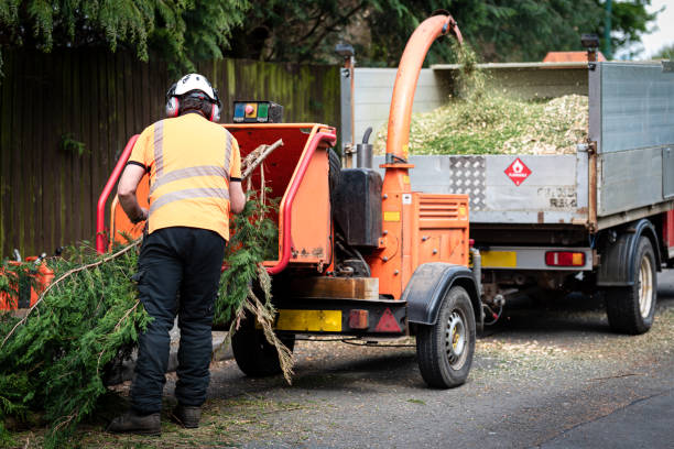 How Our Tree Care Process Works  in  Syracuse, IN